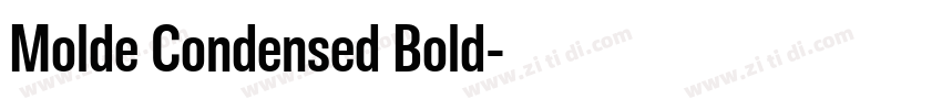 Molde Condensed Bold字体转换